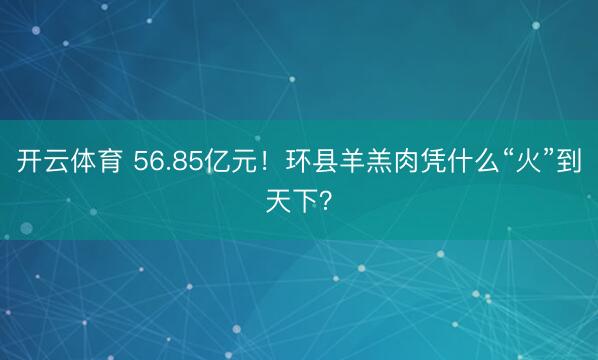 开云体育 56.85亿元！环县羊羔肉凭什么“火”到天下？