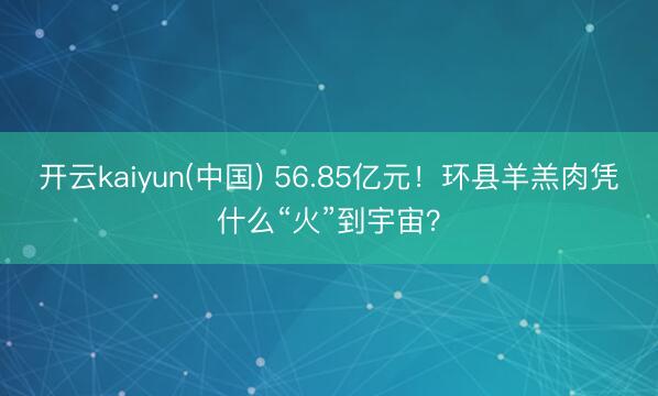 开云kaiyun(中国) 56.85亿元！环县羊羔肉凭什么“火”到宇宙？