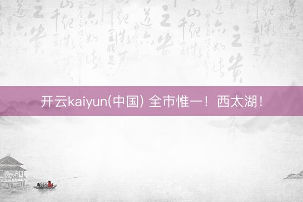 开云kaiyun(中国) 全市惟一！西太湖！