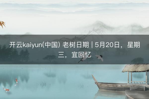 开云kaiyun(中国) 老树日期 | 5月20日，星期三，宜回忆