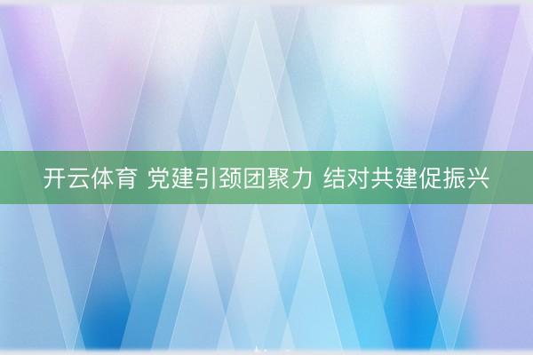 开云体育 党建引颈团聚力 结对共建促振兴