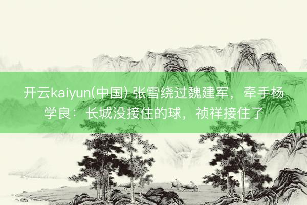 开云kaiyun(中国) 张雪绕过魏建军,牵手杨学良:长城没接住的球,祯祥接住了