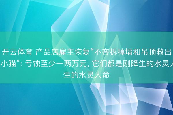 开云体育 产品店雇主恢复“不吝拆掉墙和吊顶救出4只小猫”: 亏蚀至少一两万元， 它们都是刚降生的水灵人命