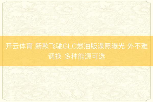 开云体育 新款飞驰GLC燃油版谍照曝光 外不雅调换 多种能源可选
