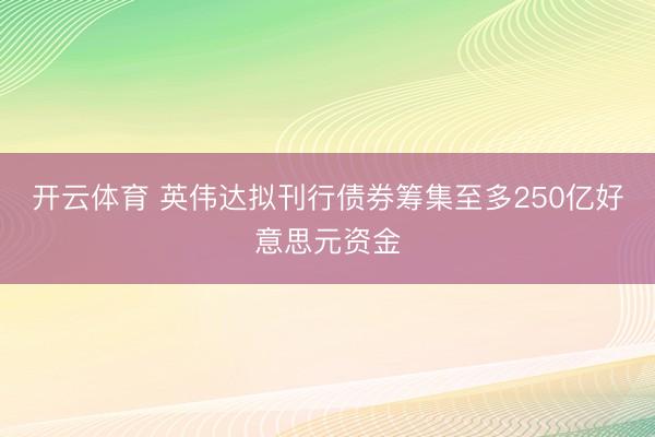 开云体育 英伟达拟刊行债券筹集至多250亿好意思元资金