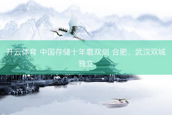 开云体育 中国存储十年磨双剑 合肥、武汉双城独立