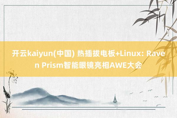 开云kaiyun(中国) 热插拔电板+Linux: Raven Prism智能眼镜亮相AWE大会